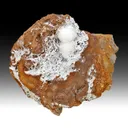 Minyulite with Wavellite - image 1