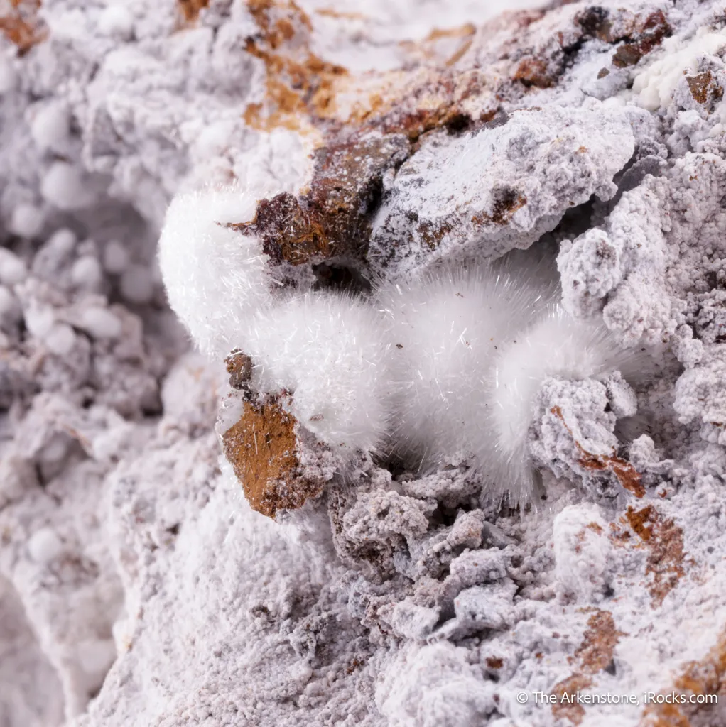 Minyulite with Wavellite, Fluellite, Crandallite and Carbonate-Fluorapatite image