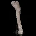 MM Quartz Coral Formation Natural Mineral Specimen - image 3