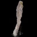 MM Quartz Coral Formation Natural Mineral Specimen - image 2