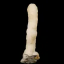 MM Quartz Coral Formation Natural Mineral Specimen - image 4