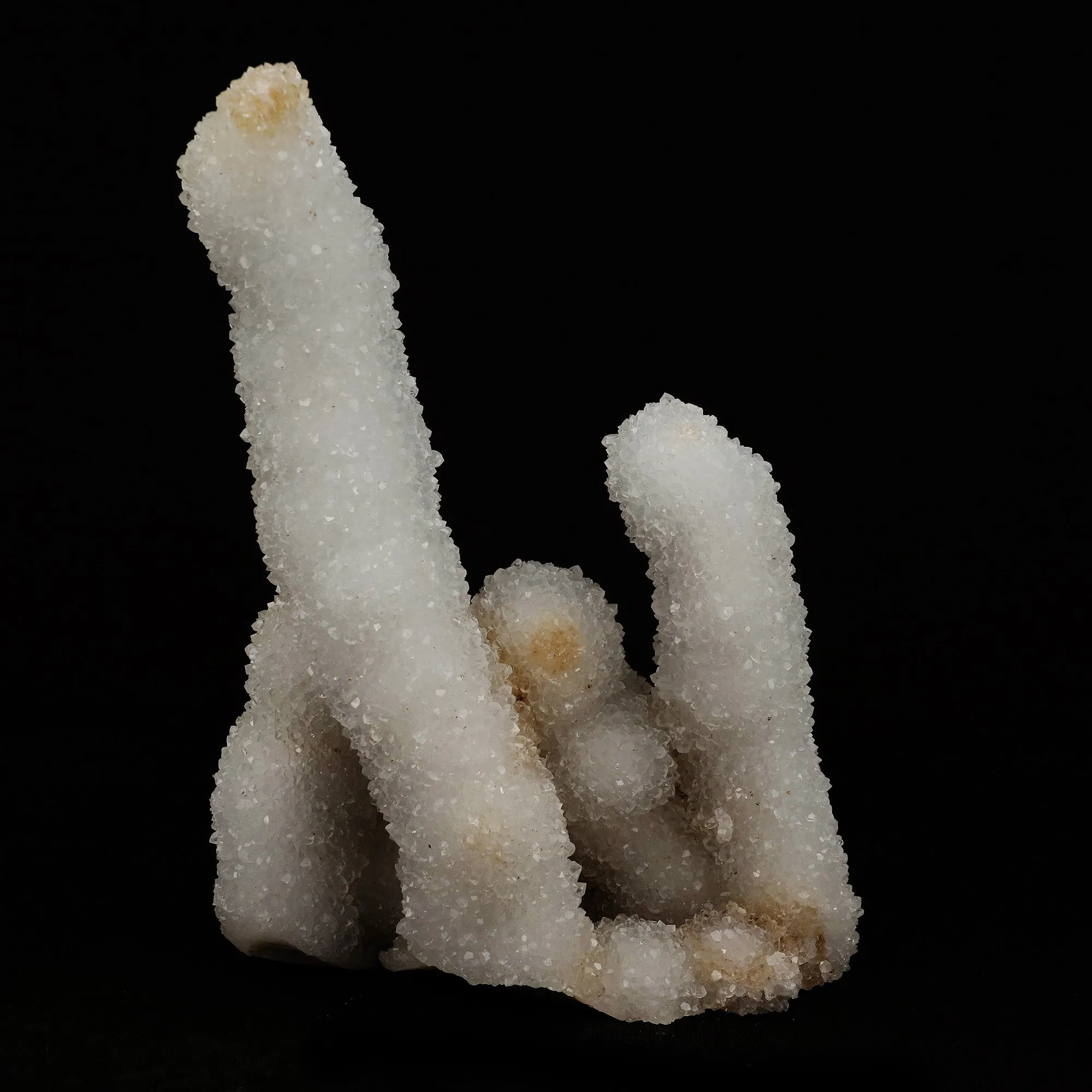 MM Quartz Stalacite Coral Formation Natural Mineral Specimen - image 4