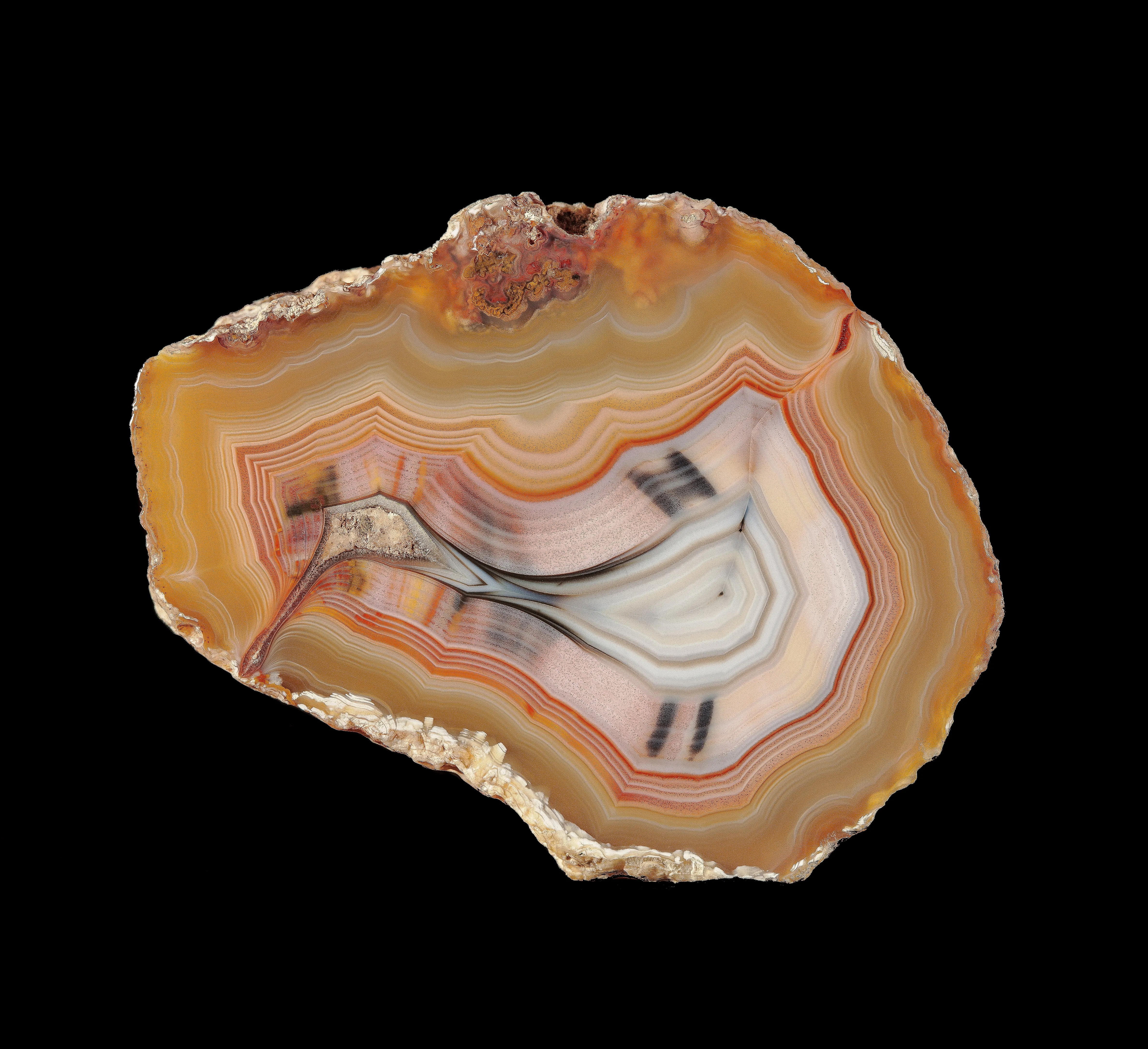 Moctezuma "Mother Goose" Agate - image 1