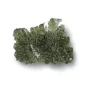 Moldavite from Germany - image 2