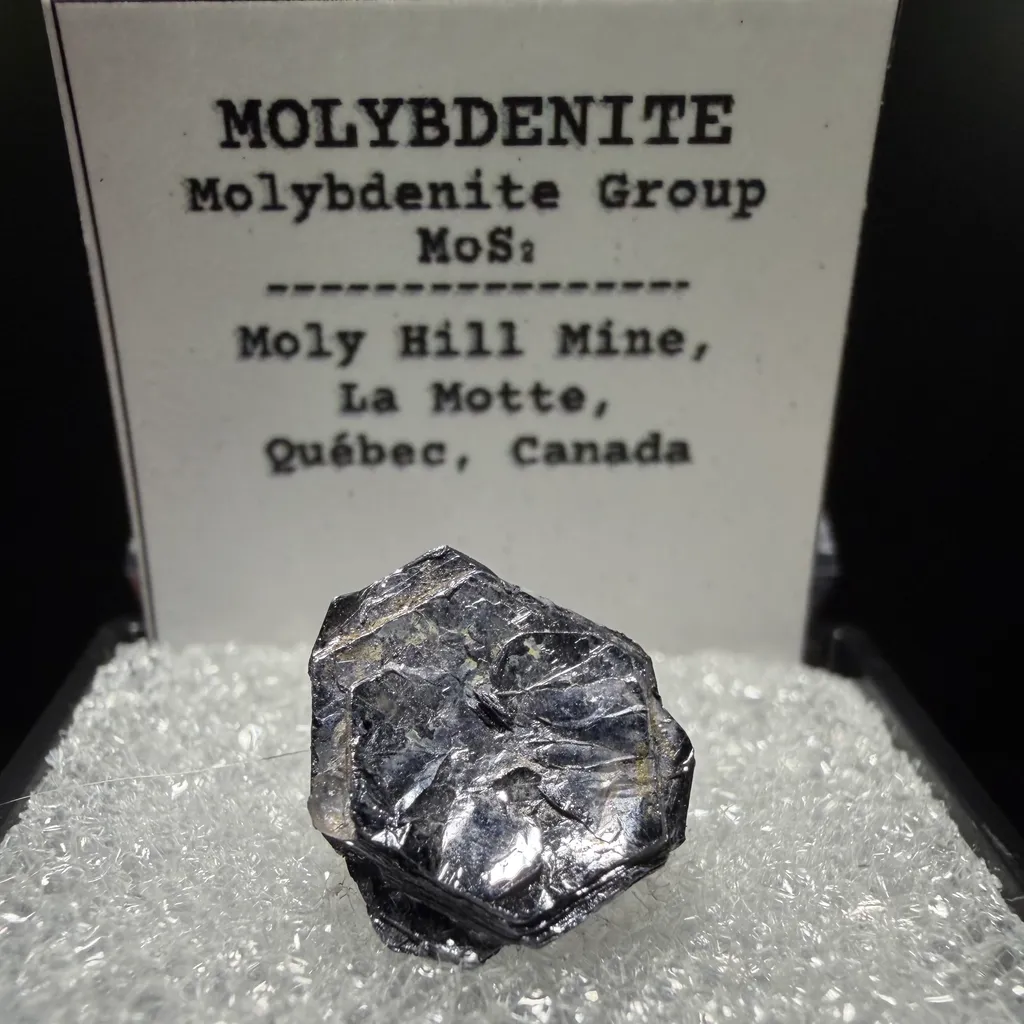 Molybdenite - Moly Hill Mine image