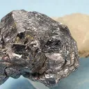 Molybdenite, Quartz - image 1