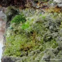 Molybdofornacite (Tl), Dioptase and Wulfenite - image 5