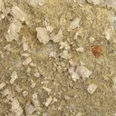 Monazite-(Ce) - image 2