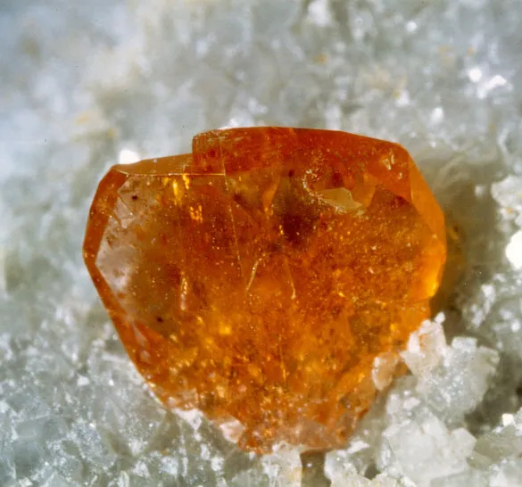 Monazite (Ce), Trimouns, Luzenac, Ariège, France image