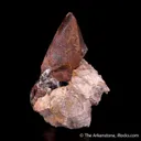 Monazite-(Ce) with Orthoclase and Muscovite - image 3