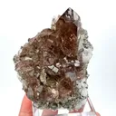 specimen video