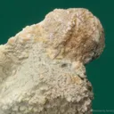 Monteregianite-(Y) (type locality) with Pectolite on Albite - image 4