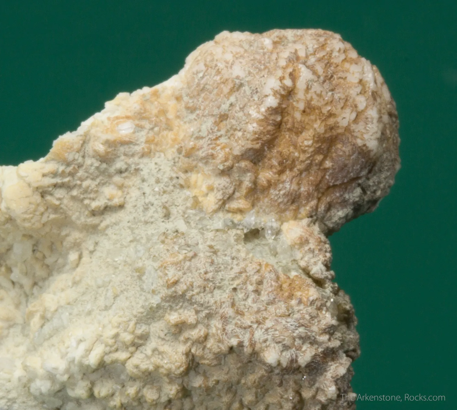 Monteregianite-(Y) (type locality) with Pectolite on Albite - image 4