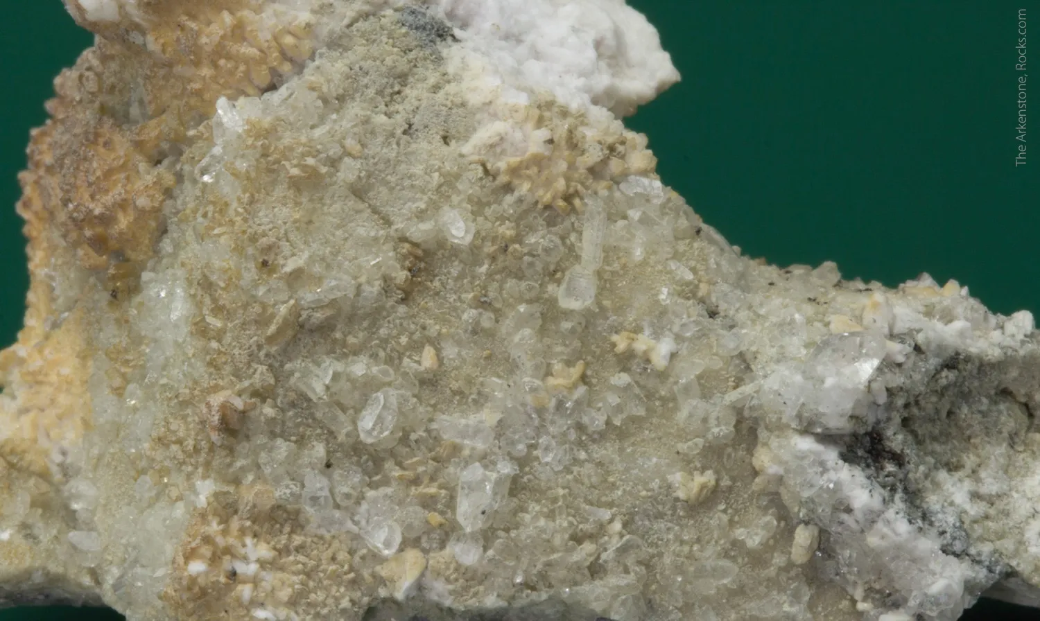 Monteregianite-(Y) (type locality) with Pectolite on Albite - image 2
