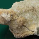 Monteregianite-(Y) (type locality) with Pectolite on Albite - image 3