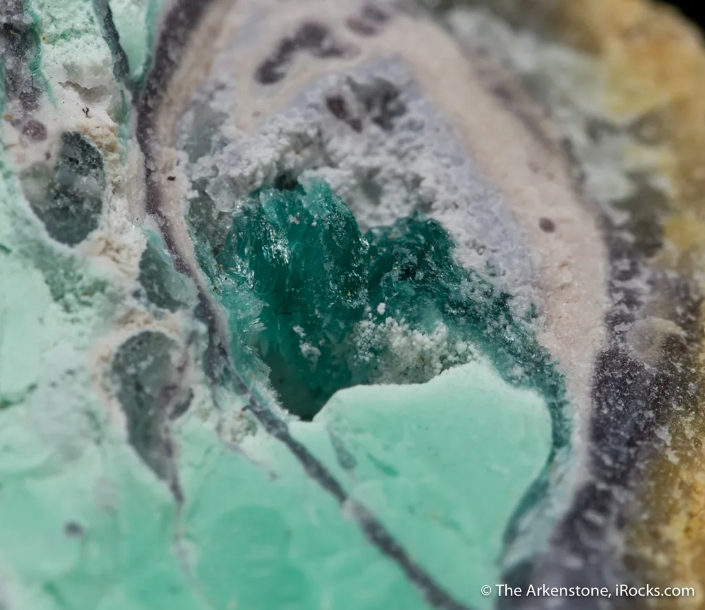 Montgomeryite crystals (TL) with Variscite, Wardite image