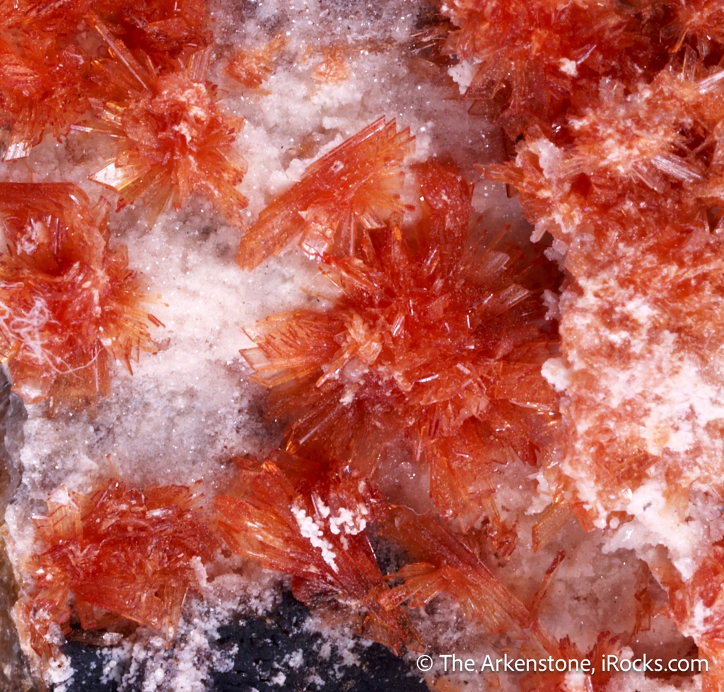 Montgomeryite with Whitlockite and Todorokite image