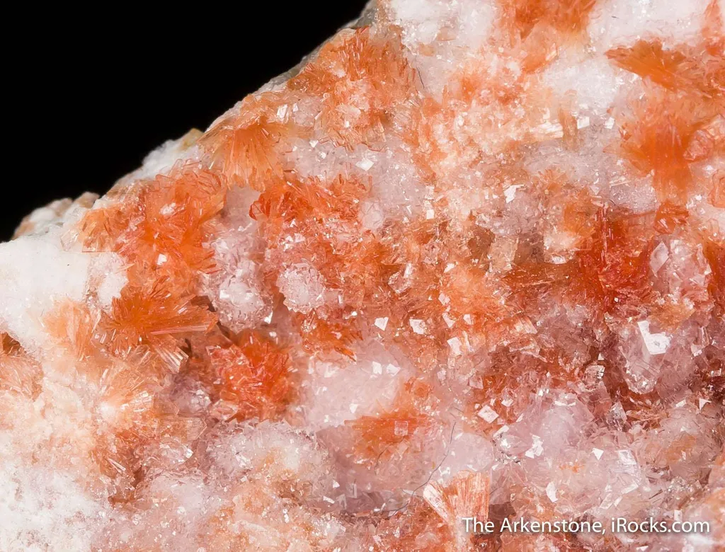 Montgomeryite with Whitlockite-Bobdownsite image