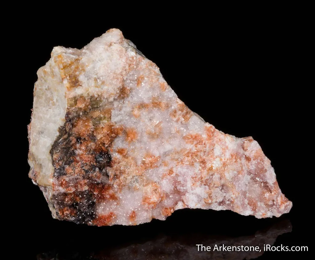 Montgomeryite with Whitlockite-Bobdownsite - image 6