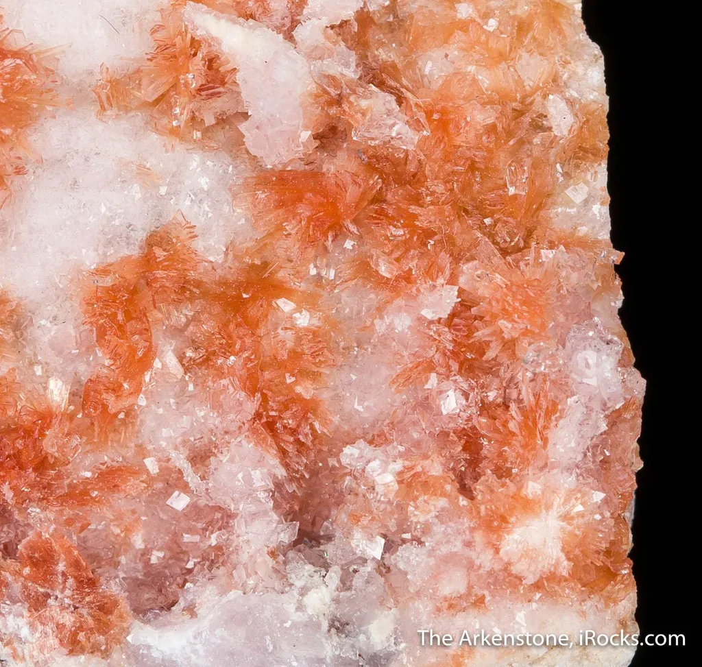 Montgomeryite with Whitlockite-Bobdownsite - image 3