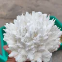 Mordenite Flower - image 4