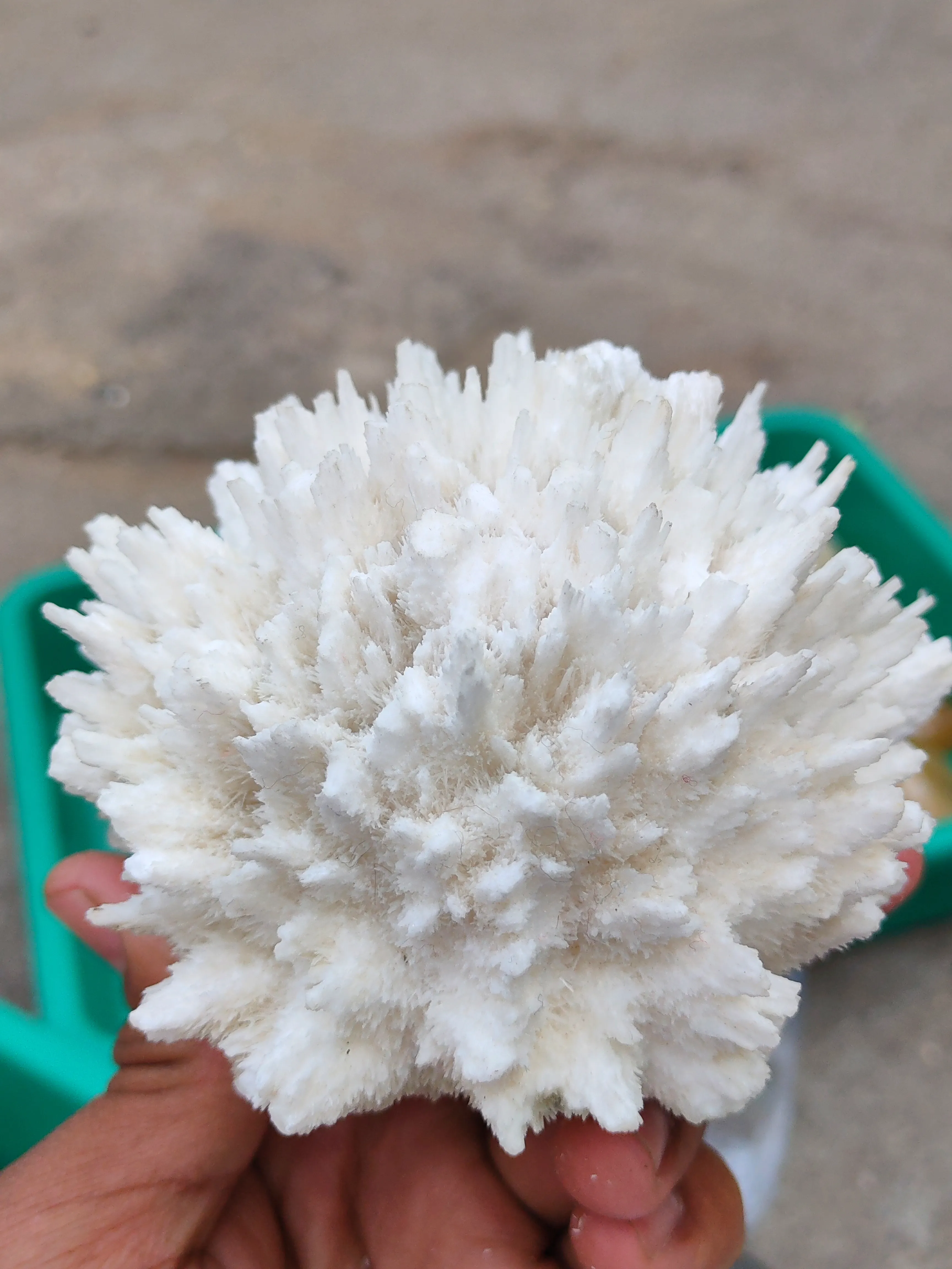 Mordenite Flower - image 4