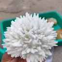 Mordenite Flower - image 2