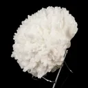 Mordenite Natural Mineral Specimen - image 2