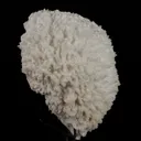 Mordenite Natural Mineral Specimen - image 3