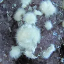 Mordenite on Quartz Var. Amethyst - image 2