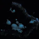 Mordenite, Quartz (Var: Amethyst) - image 2