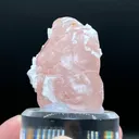 Morganite - image 4
