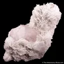 Morganite - image 2