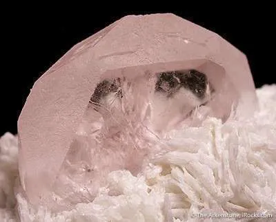 Morganite - image 6