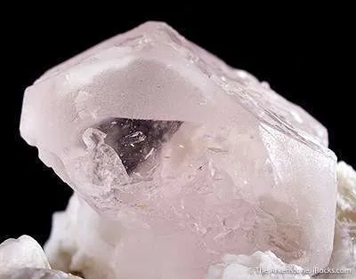 Morganite - image 3