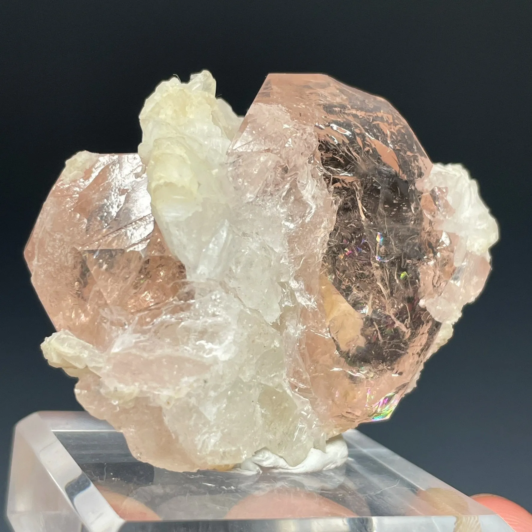 Morganite - image 6