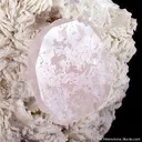 Morganite - image 2