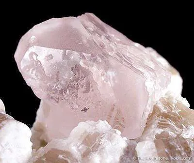 Morganite - image 2