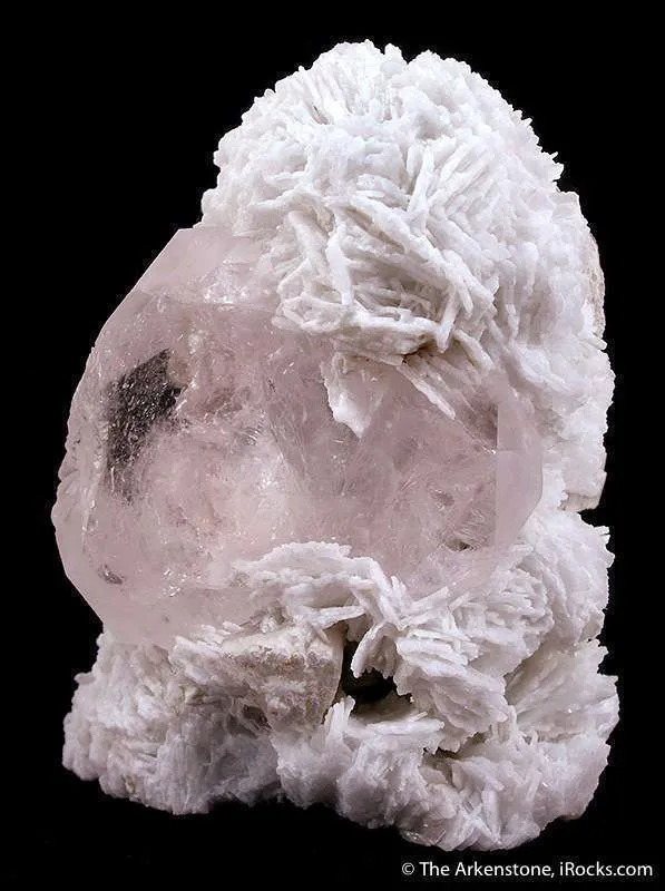 Morganite image
