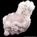 Morganite - image 1