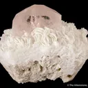 Morganite - image 2