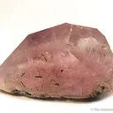 Morganite - image 1