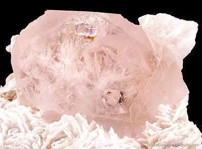 Morganite - image 2