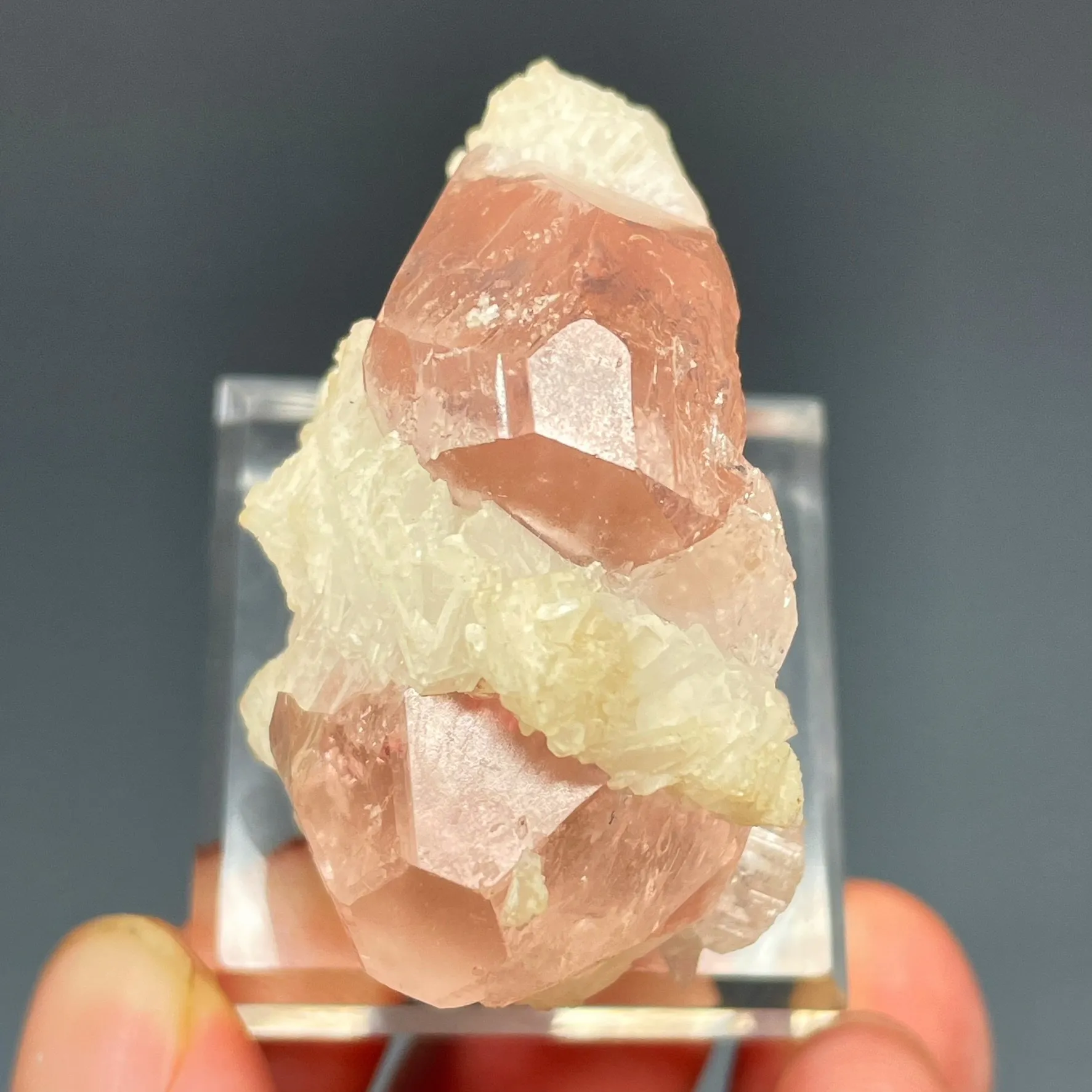 Morganite - image 3