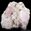 Morganite - image 1