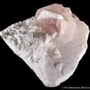 Morganite - image 1
