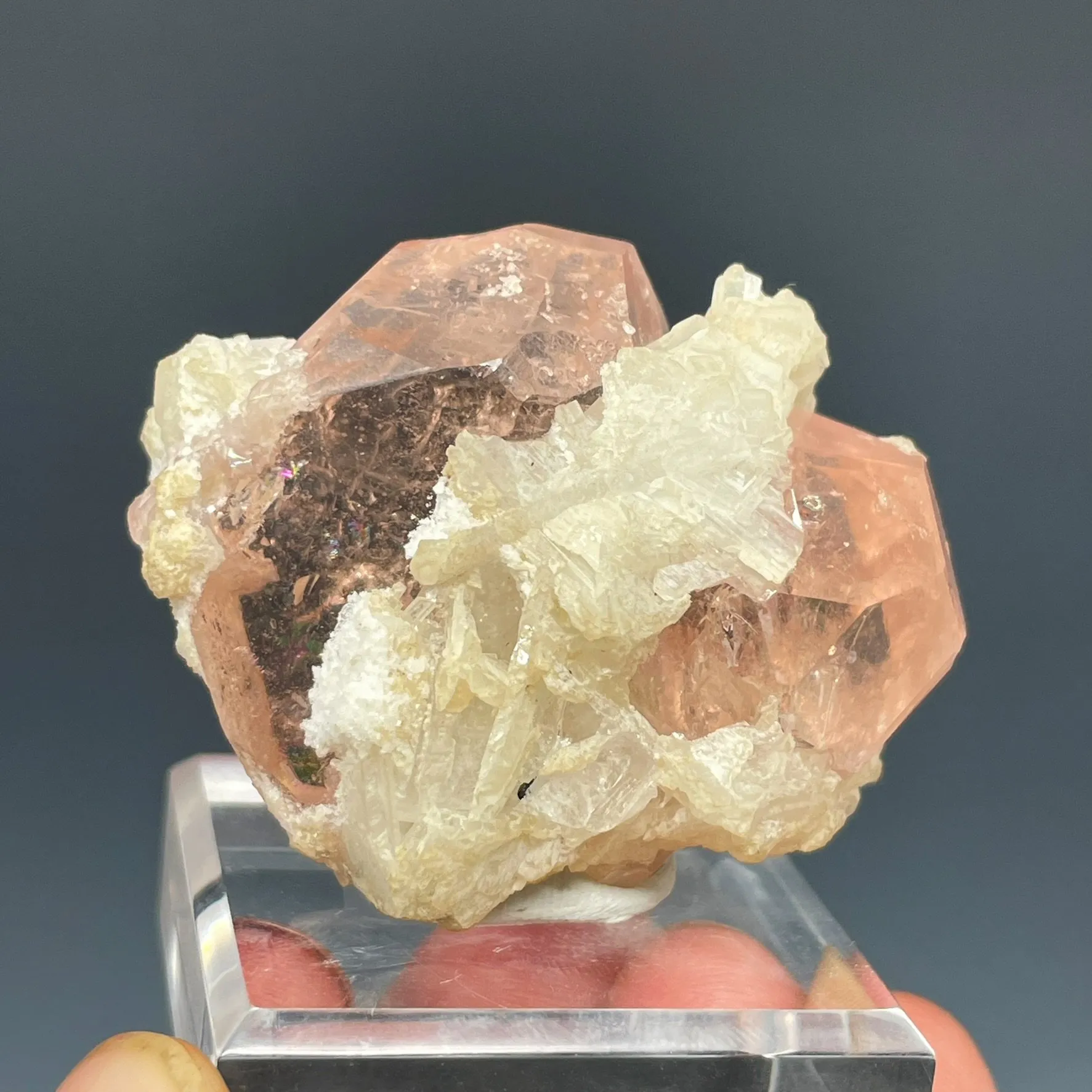 Morganite - image 5