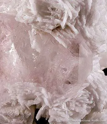 Morganite - image 3