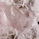 Morganite - image 3