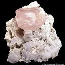 Morganite - image 1